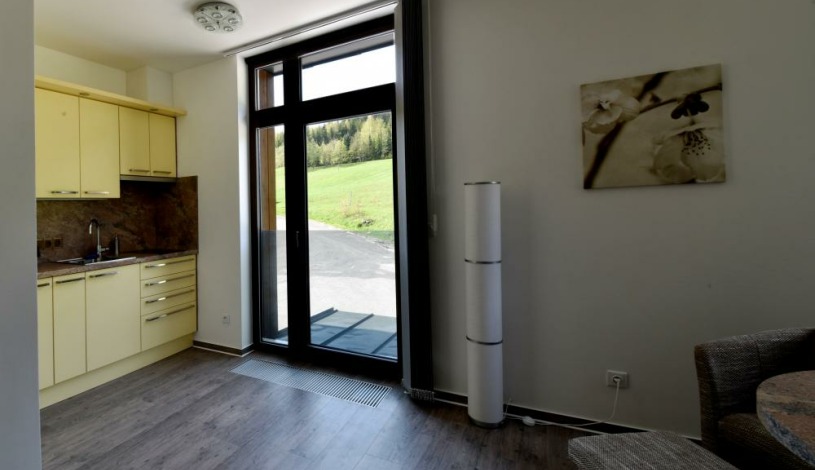 Apartmány Zvon Špindlerův Mlýn Špindlerův Mlýn - Apartmá č. 202 (1+kk)